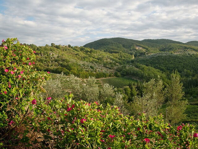 Montefioralle, landschap