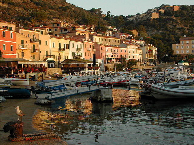 giglio haven