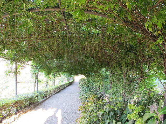 Planten in Giardino Bardini