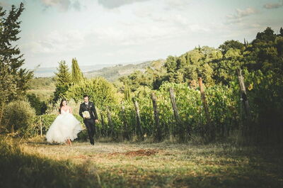 Fattoria di Quercia al Poggio, wijngaard