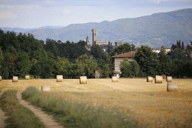Uitzicht rondom Villa Agata
