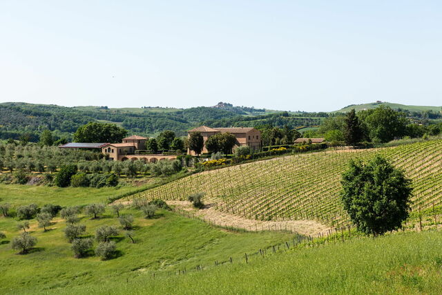 Omgeving van Podere D'Asso