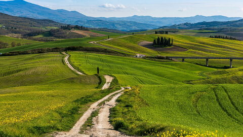 Plattelandswegen in Toscane