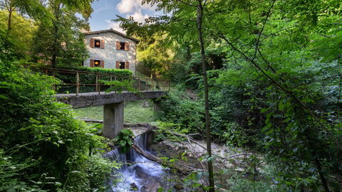 La Ripresa, river