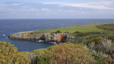 Het eiland Giannutri