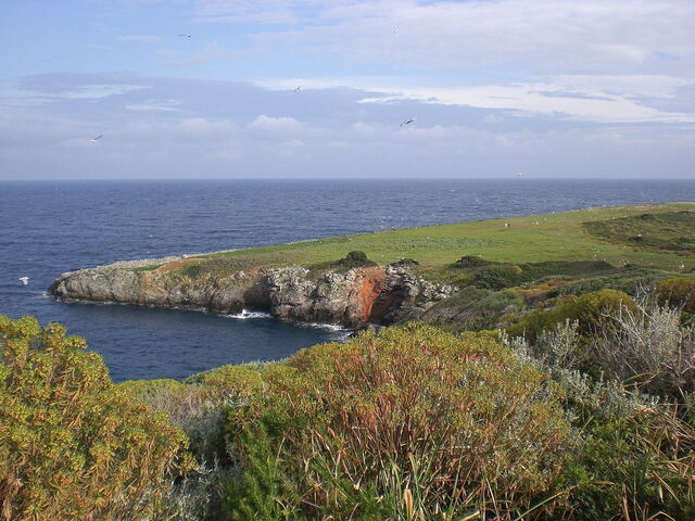 Het eiland Giannutri