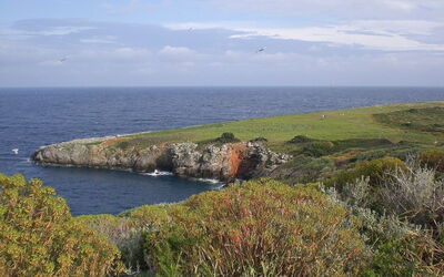 Het eiland Giannutri