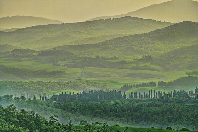 Toscaanse bossen