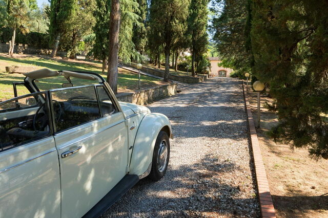 Villa Carniani, oprijlaan