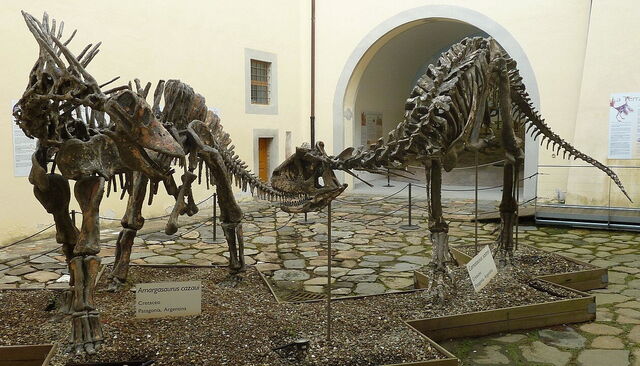 Natuurhistorisch museum, dinosauriërs