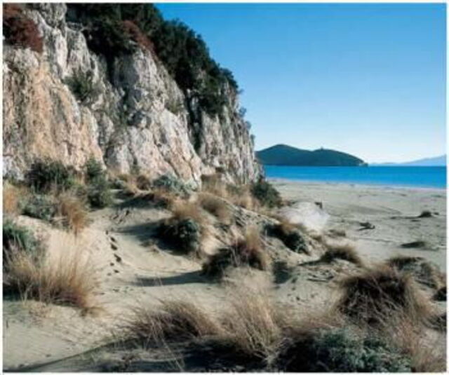 Duin van Dell'Uccellina