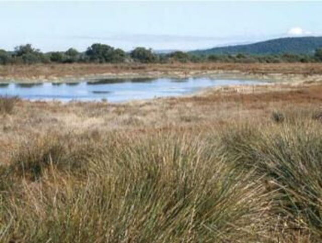 Padule della Trappola Bocca d’Ombrone