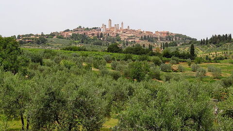 Zicht op San Gimignano