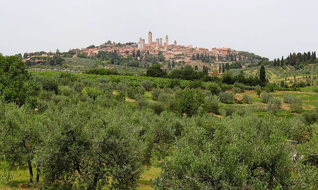 Zicht op San Gimignano