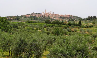 Zicht op San Gimignano