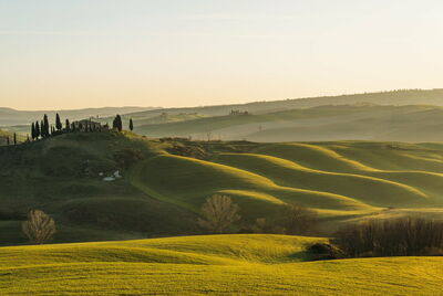 Toscane