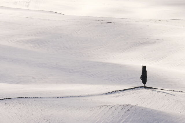 Toscaanse Platteland