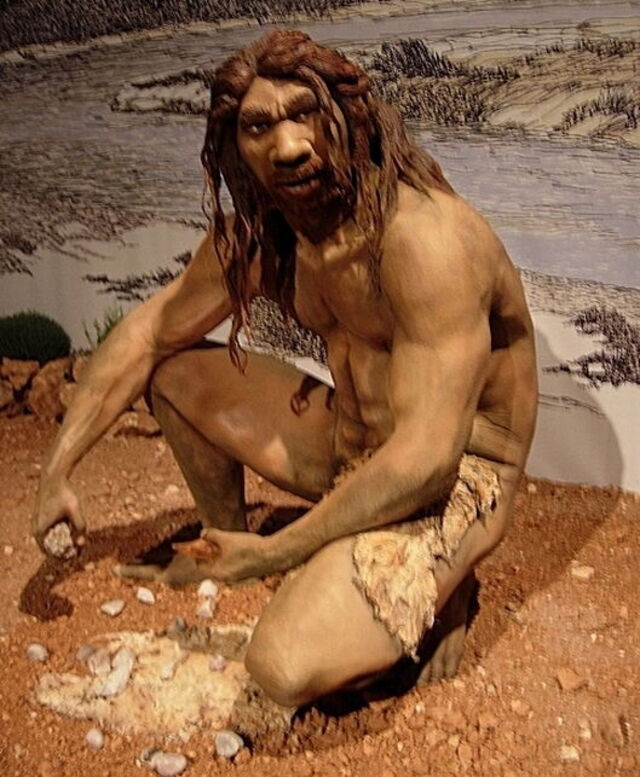 Beeld van Neanderthaler