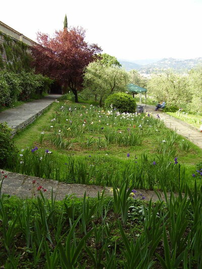 Giardino Dell'Iris