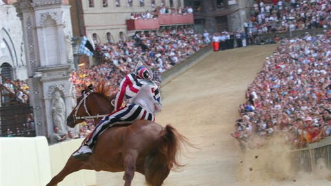 Paardenrace van de Palio di Siena