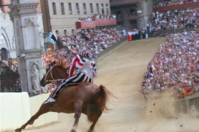 Paardenrace van de Palio di Siena
