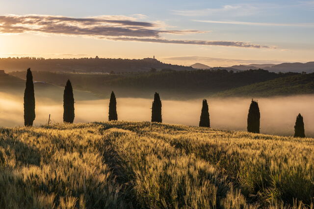 Een mistig landschap in Toscane