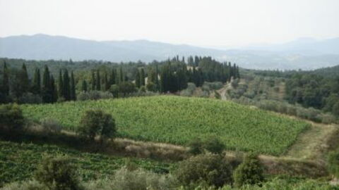 Uitzicht op Val di Chiana