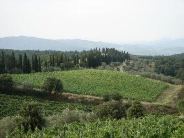 Uitzicht op Val di Chiana