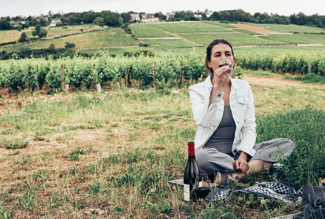 Picknick in een wijngaard