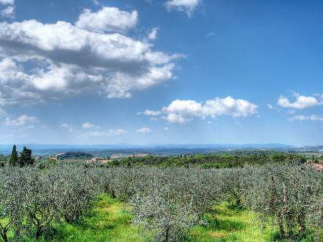 Uitzicht op het platteland vlakbij Castelnuovo Berardenga
