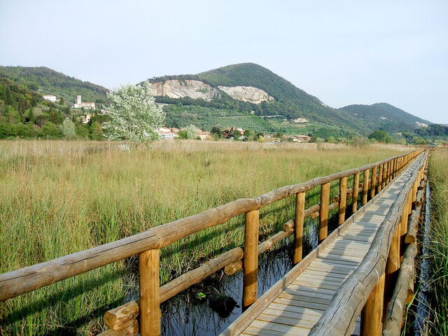 Meer van Massaciuccoli