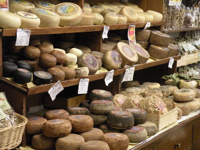 selectie van verschillende soorten pecorino