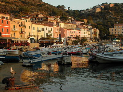 Haven, Giglio