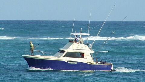 Een visboot op zee