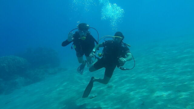 Scuba duikers