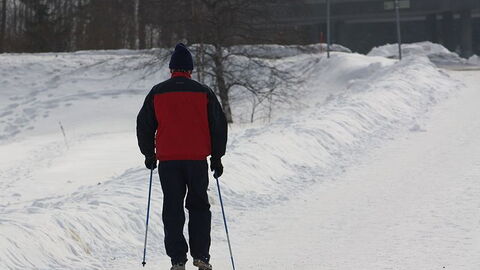 nordic walking in sneeuw