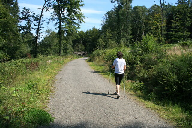 nordic walking pad