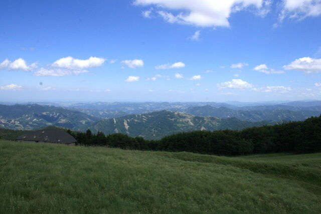 Bomen in het nationaal park van Casentinesi