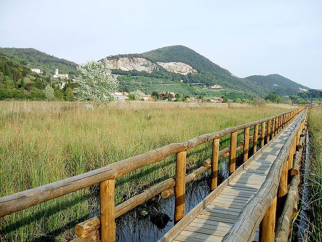 Een vredig wandelpad door de Massaciuccoli moerassen