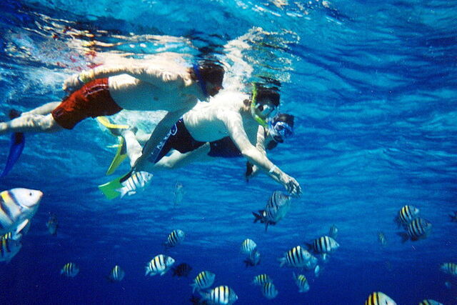 Snorkelen aan de Toscaanse Kust