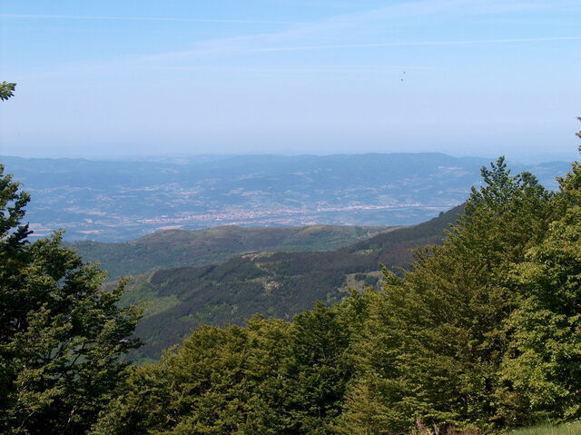 Valdarno in de verte
