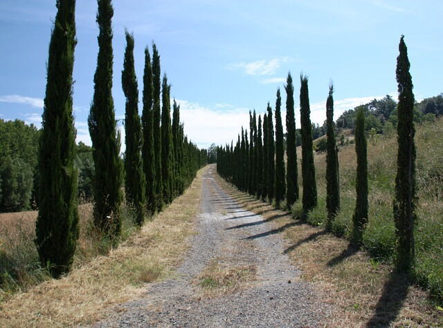 bochtig plattelandsweggetje in toscane