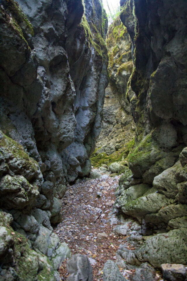 Botro ai buchi kloof