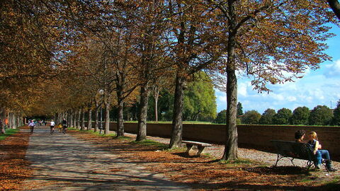 De muren van de stad Lucca