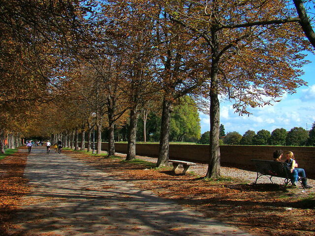 De muren van de stad Lucca