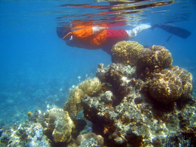 Ga snorkelen in Toscane