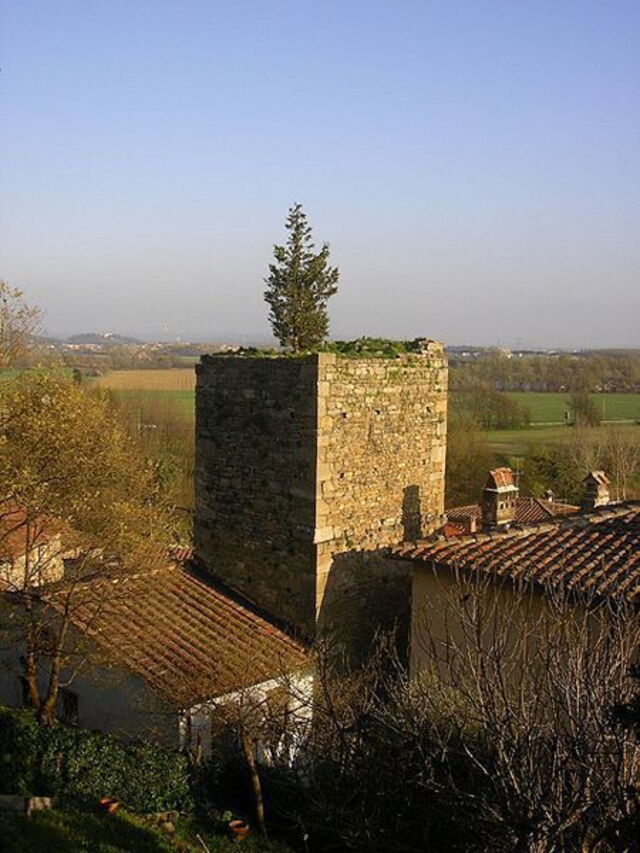 een van de oude torens in vicopisano