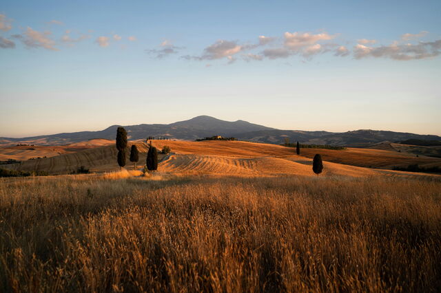 Landschap in Montalcino