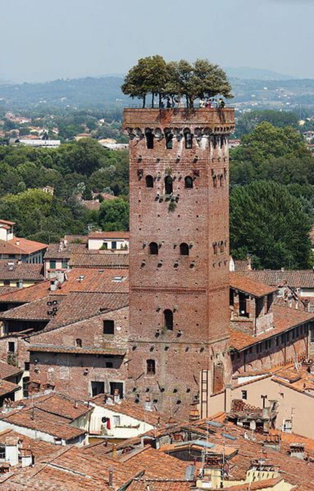 Lucca's Guinigi toren
