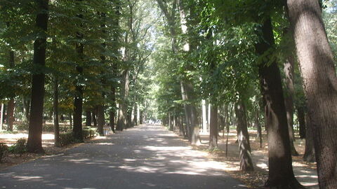 Een pad in in Parco delle Cascine